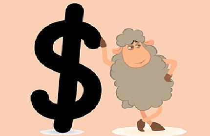 第二个网赚公众号光荣牺牲，第三个继续搞起！