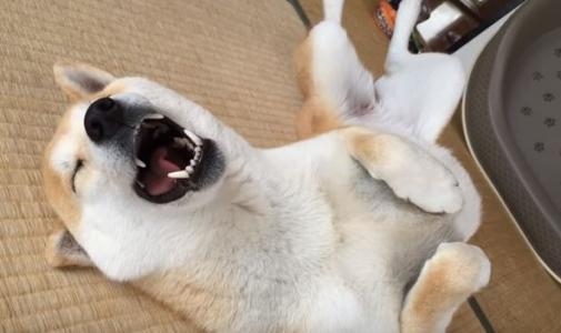 好消息！好省推出拉新活动，新人注册可获得88元红包奖励！部分可直接提现！